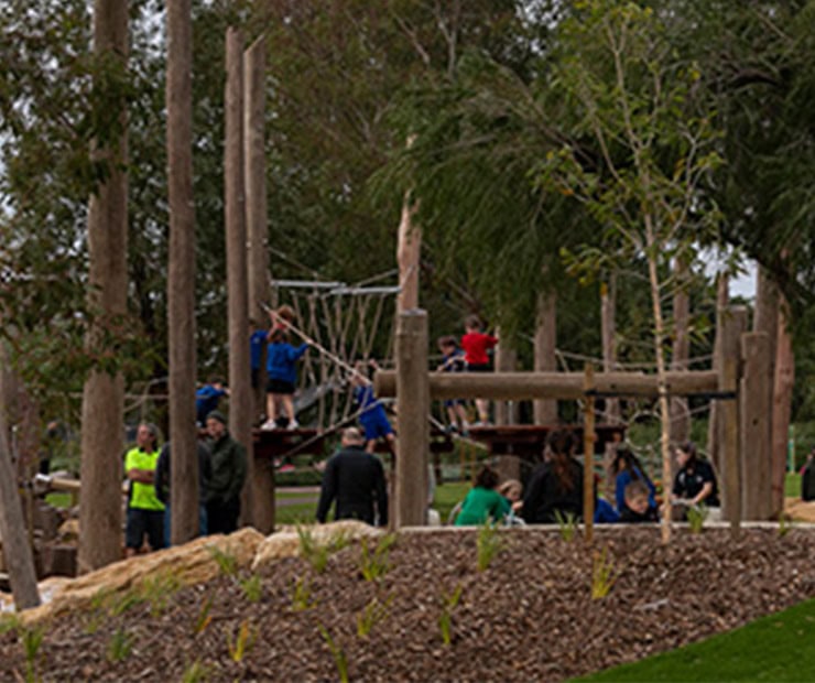 Climbing and play structures at DG Play adventure park, perfect for kids' outdoor recreation and physical activity.